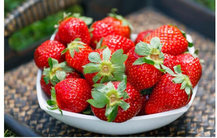 种草莓的技巧，花园里教你种出美味健康草莓