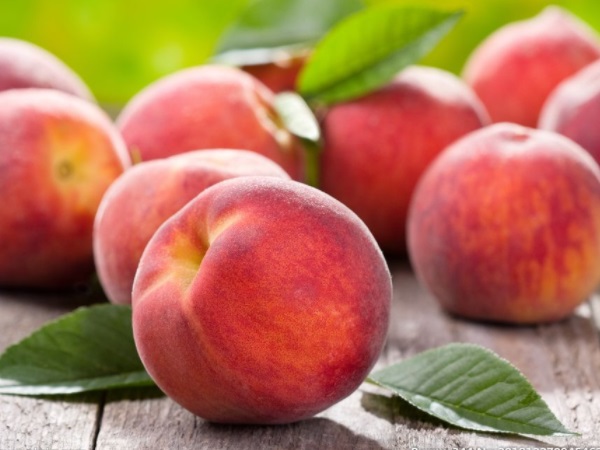 桃家族十万个为什么 水蜜桃是毛桃还是油桃