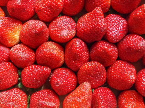 维生素C小霸王 吃草莓的好处