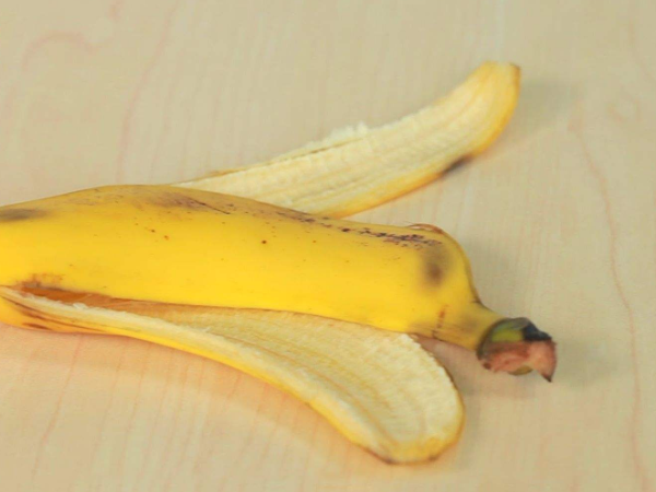 口感挑战锦标赛 香蕉皮能吃吗