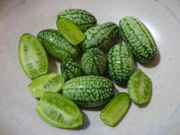 拇指西瓜怎么吃 连籽带皮咬爆炸