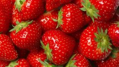 新鲜采摘的草莓图片 娇艳欲滴的美很想吃