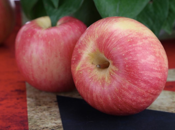 吃苹果能减肥吗，水桶肥妹告诉你真相