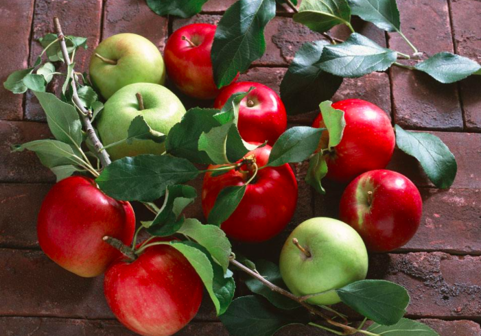 吃苹果能减肥吗，水桶肥妹告诉你真相