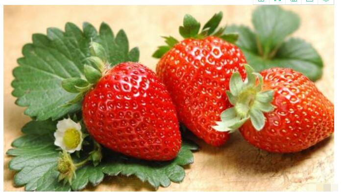种草莓施肥小技巧，告诉你如何正确操作？