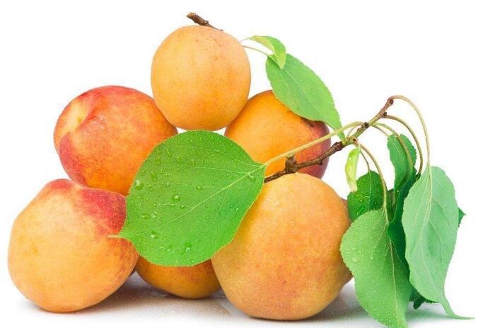 有利身体健康的杏子图片，杏子跟哪些食物同吃对身体有好处