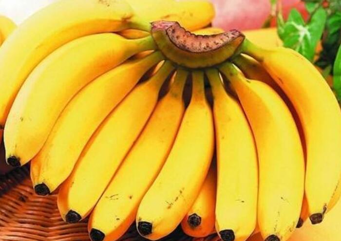 香蕉的功效与作用，每天吃香蕉具有哪些好处