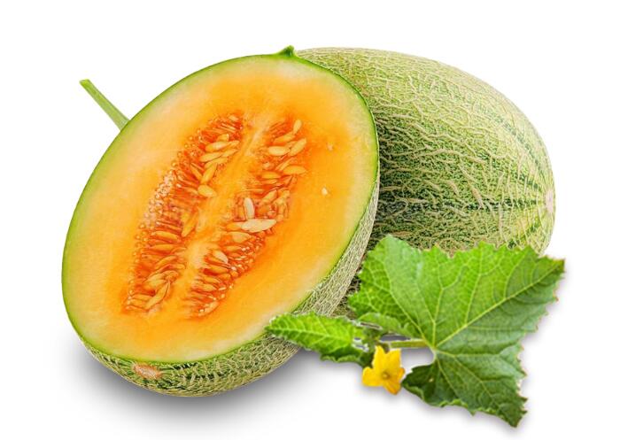 哈密瓜的种植方法，手把手教您如何种好哈密瓜？